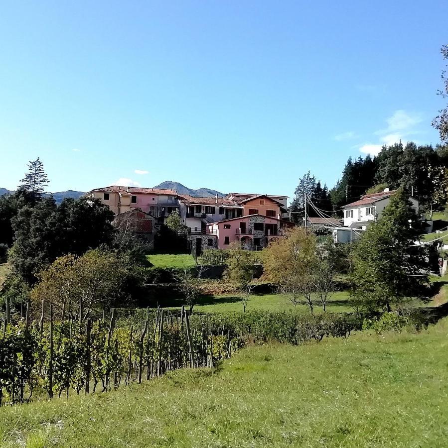 Lissahouse Agriturismo San Pietro Vara Bagian luar foto