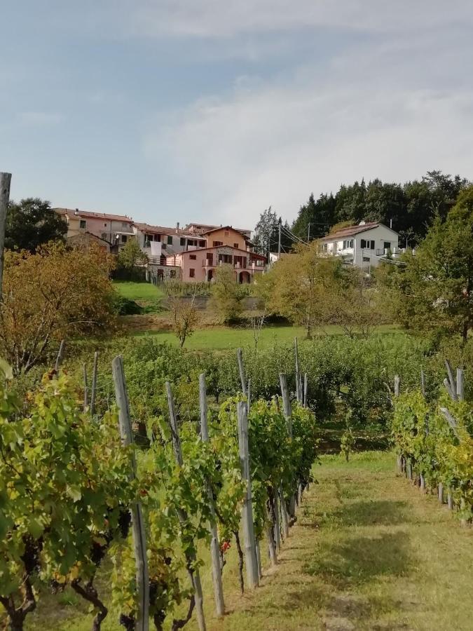 Lissahouse Agriturismo San Pietro Vara Bagian luar foto